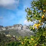 La Des Sources - Piscine - Clim - Terrasse Menton