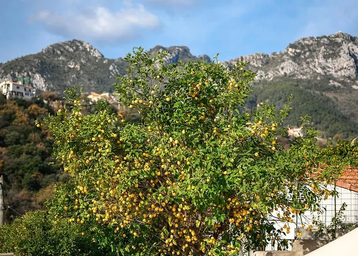 别墅 La Des Sources - Piscine - Climatisation *