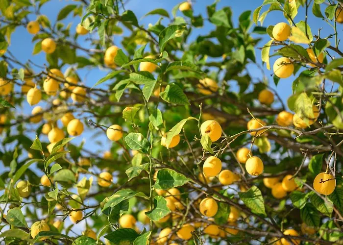 La Des Sources - Piscine - Climatisation Villa
