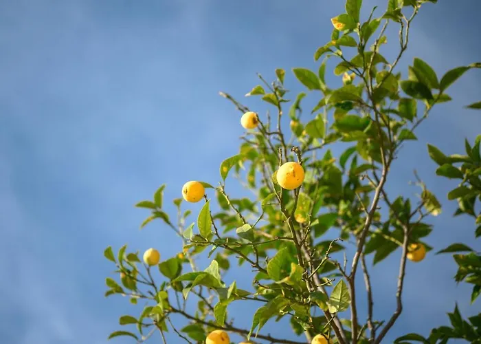 La Des Sources - Piscine - Climatisation Villa Menton
