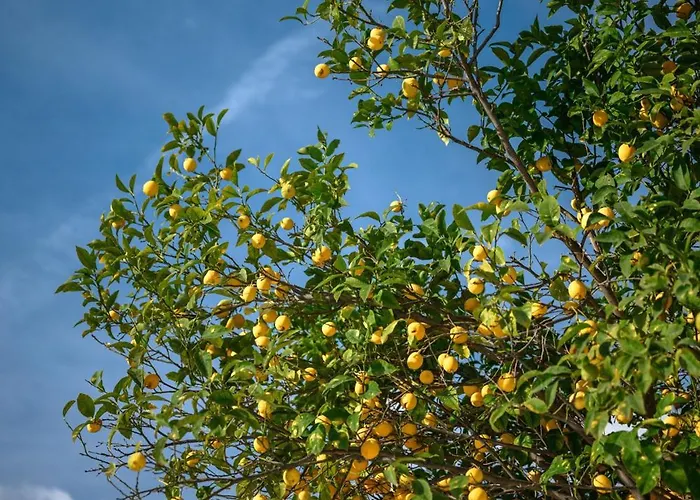 La Des Sources - Piscine - Climatisation * Menton