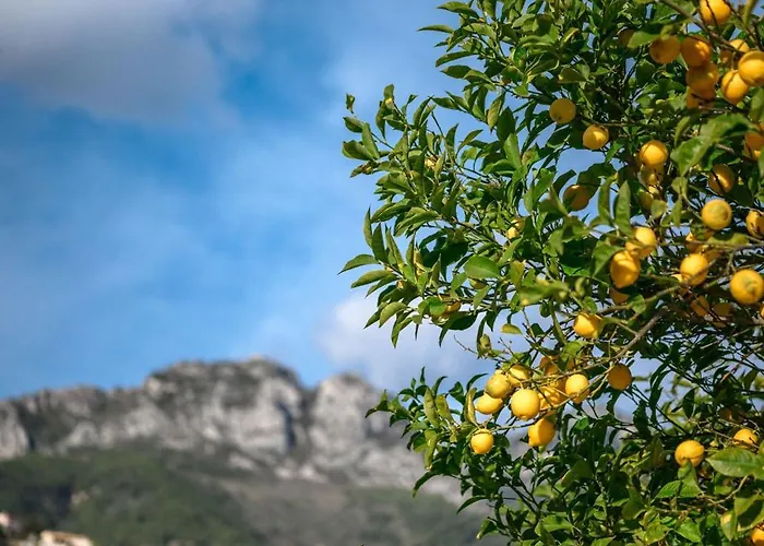 Villa La Des Sources - Piscine - Climatisation